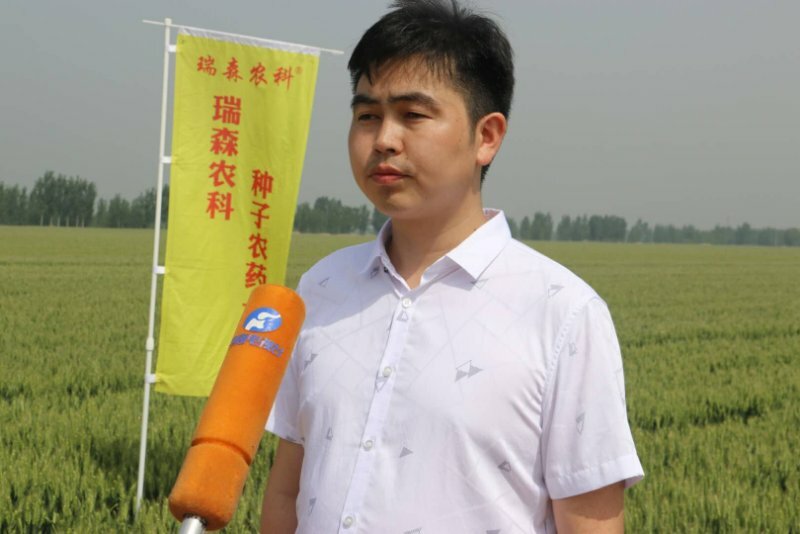 2018公司最新新闻